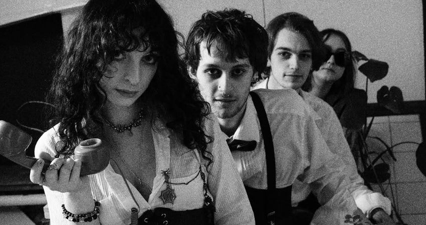 Rooted/AVA/Vanilla Pods 