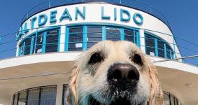 picture