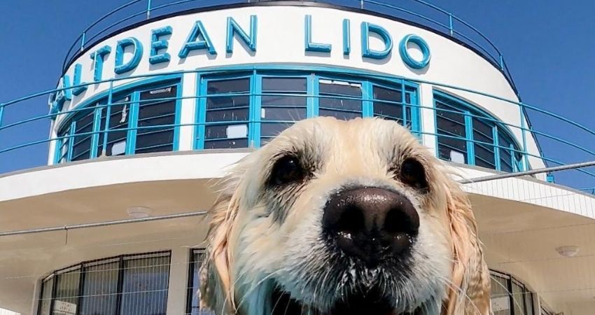 Saltdean Lido Dog Swim 2026 