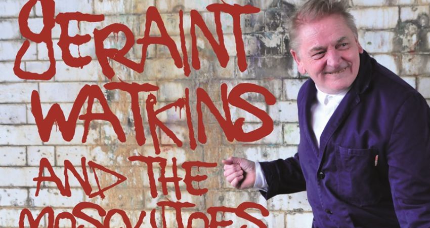Geraint Watkins & The Mosquitoes