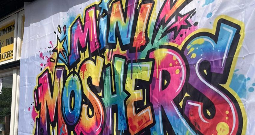 MINI MOSHERS 1 PM - 6 PM