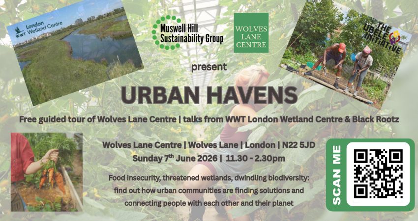 URBAN HAVENS