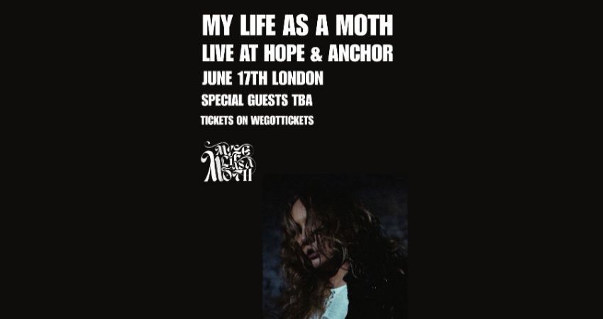 My Life As A Moth