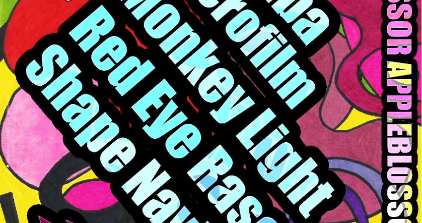 The Crash Of Moons Club SUMMER ALL DAYER - 6 bands and DJ - 1pm-9pm 