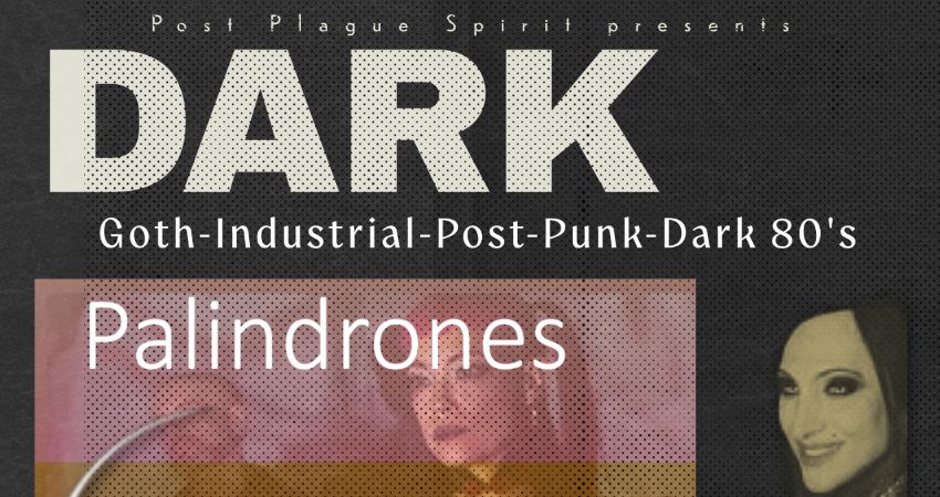 Palindrones 
