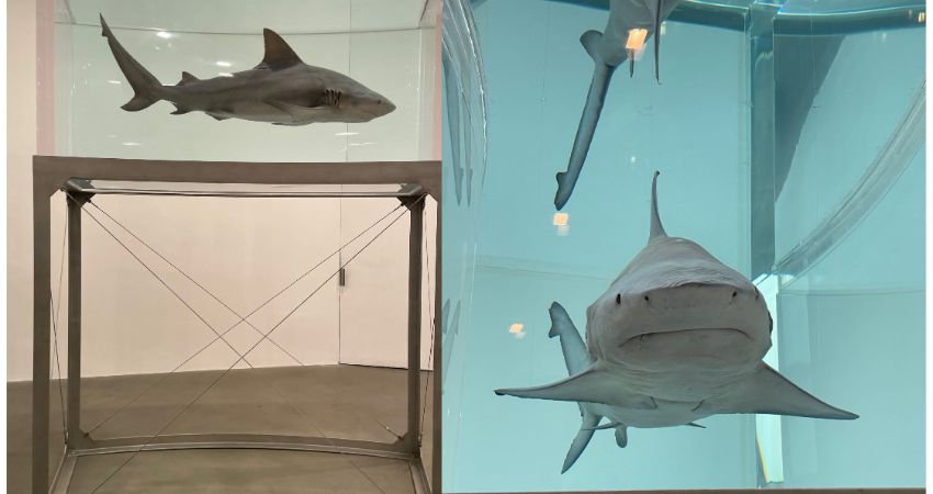 Talks@Trades: 'Art, Sharks and Diamonds:  Or how I learned to stop worrying and love Damien Hirst' b 