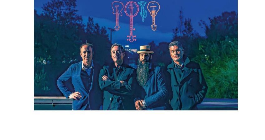 TRACK DOGS 