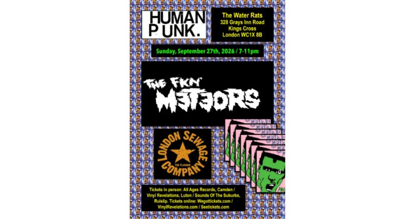 The Meteors 