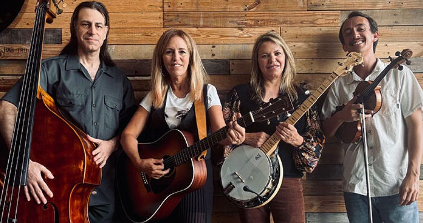 Gypsy Strings Revival 