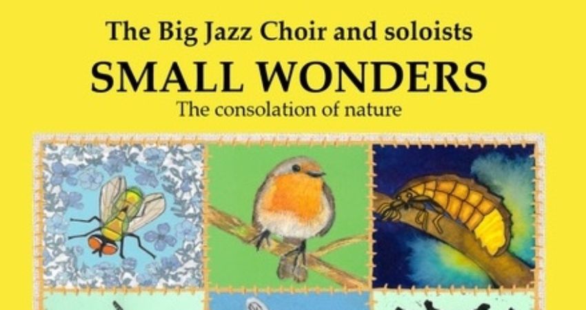 Small Wonders