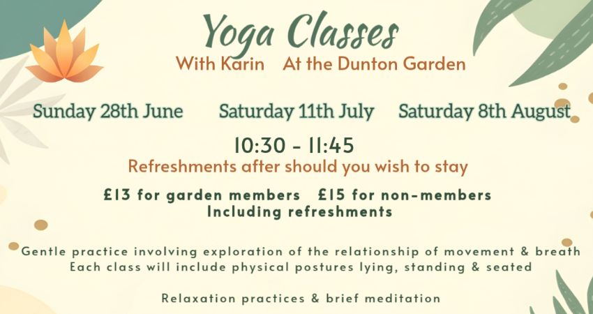 Yoga Classes with Karin 