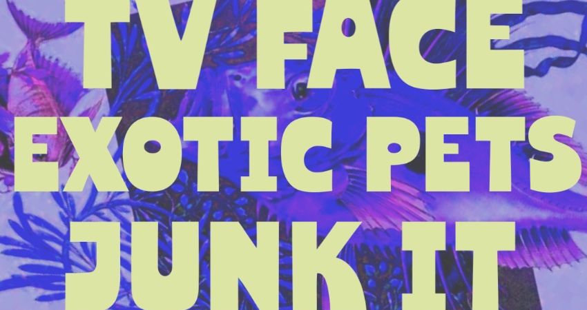 OMP: TV Face, Exotic Pets & Junk It at Dubrek Studios