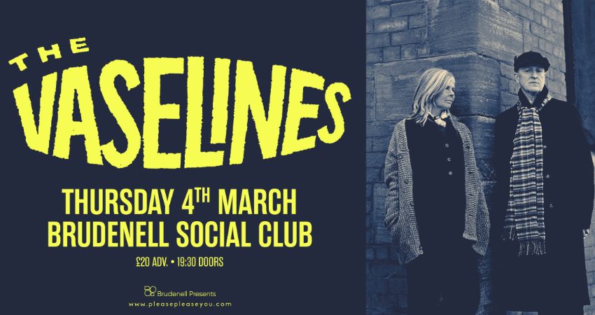 The Vaselines 