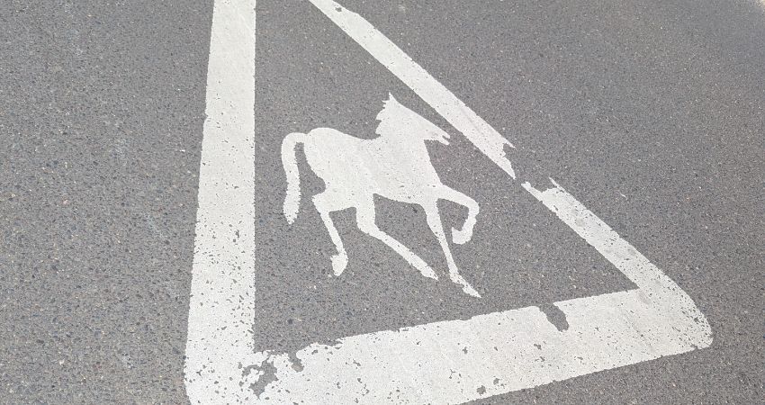Cerys Bradley: On Road Signs 