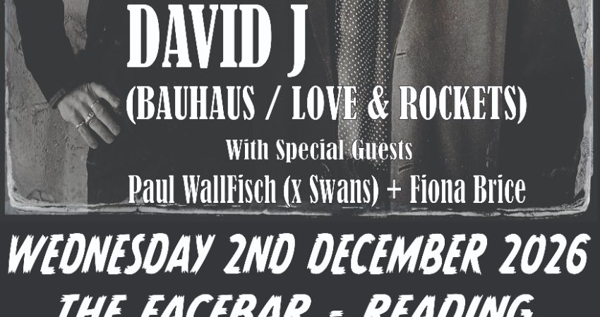 David J 