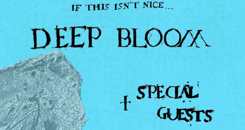 Deep Bloom