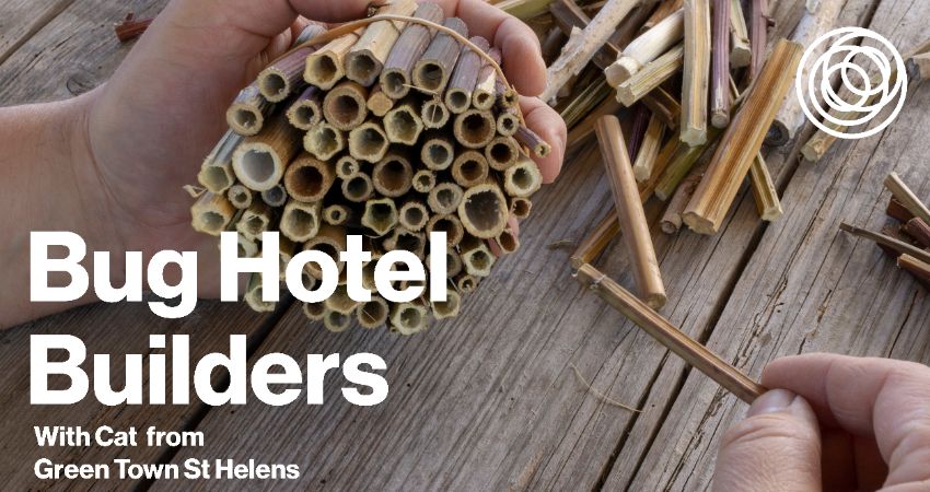 Bug Hotel Builders