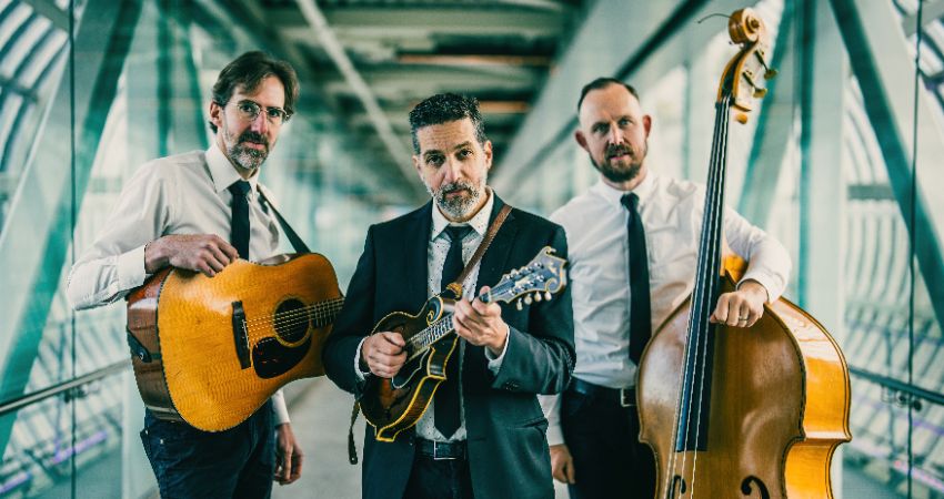 The Andrew Collins Trio 