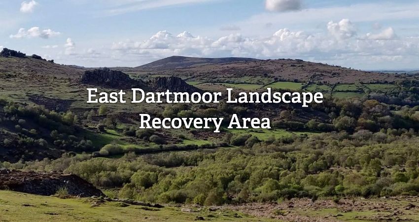 Talk: East Dartmoor Landscape Recovery Project  