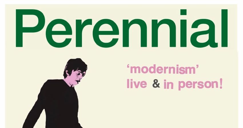 Perennial (US) 