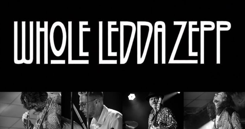 WHOLE LEDDA ZEPP 