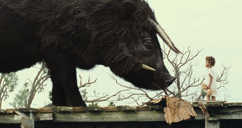 BEASTS OF THE SOUTHERN WILD 