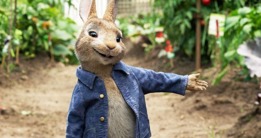 PETER RABBIT 