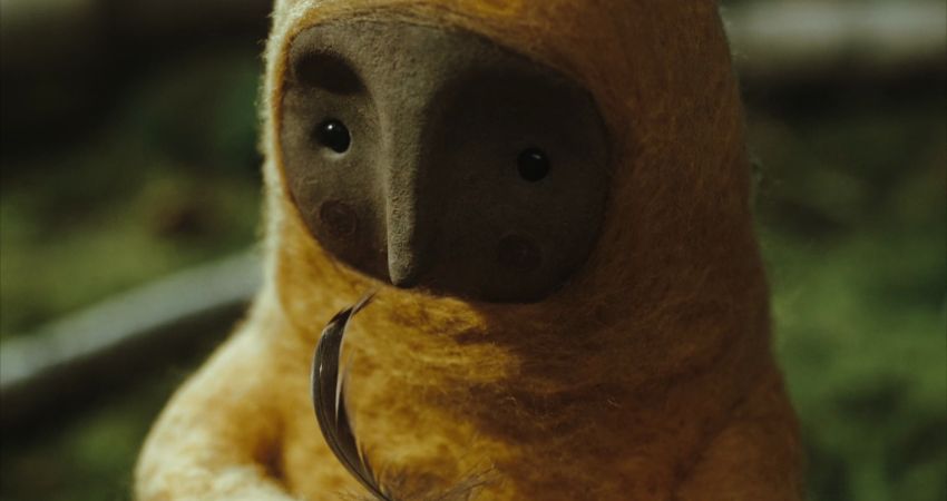 LITTLE DANDELION (INTERNATIONAL SHORTS PROGRAMME 3) 