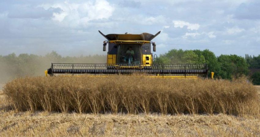 The Texture of Land and Work 