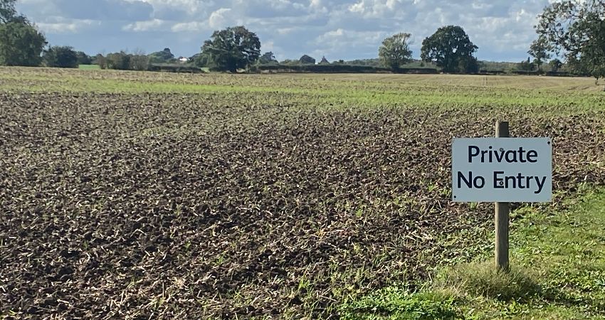 Our Land 