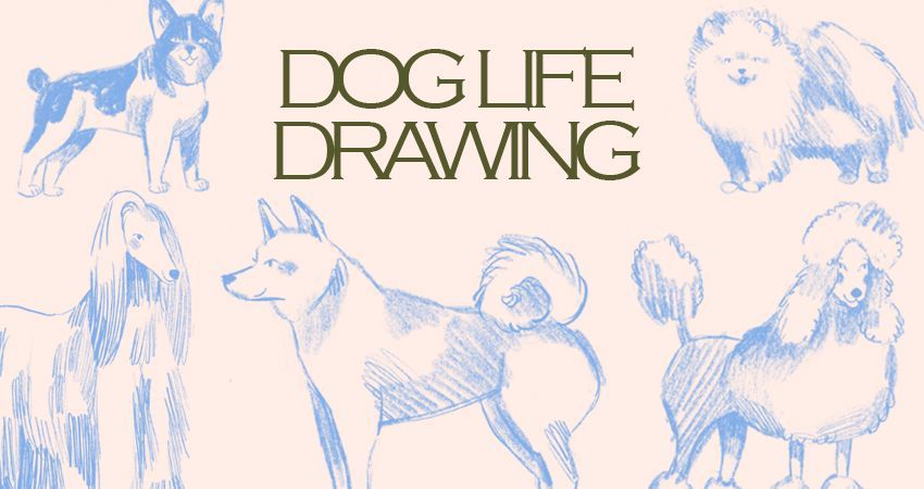 DOG LIFE DRAWING 