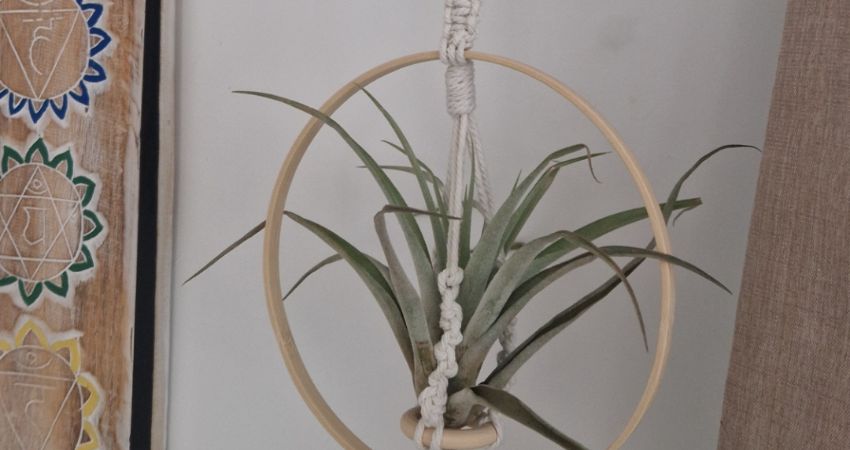 Signature Macramé Workshop - Element of Air
