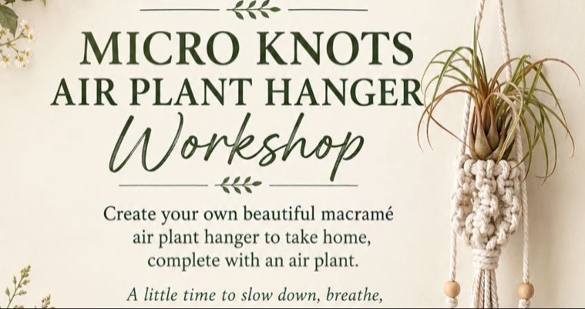 Macrame Air Plant Workshop 