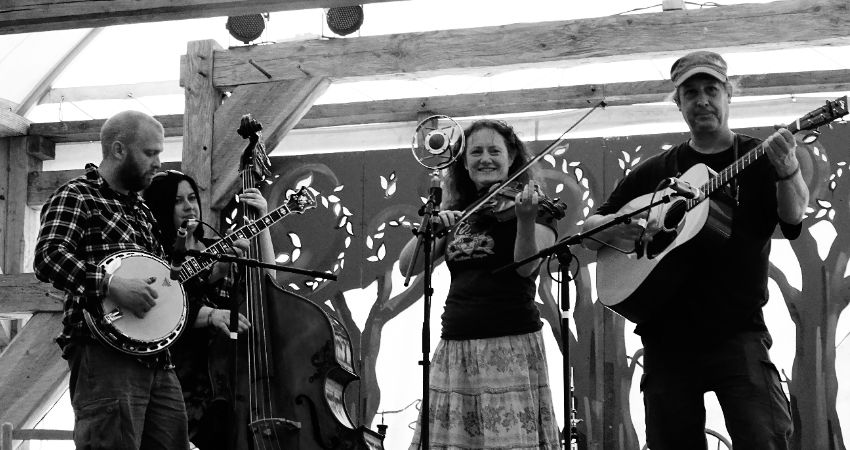 Ragged Out String Band 