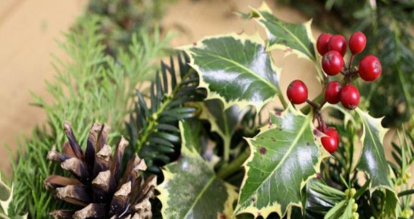 Christmas Wreath Workshop 2026 - Afternoon Session 