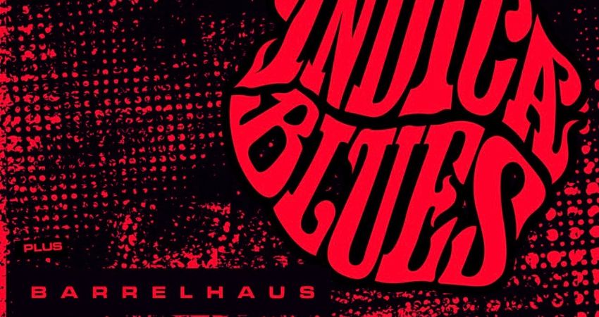 Indica Blues and BarrelHaus Live @ The Library Pub