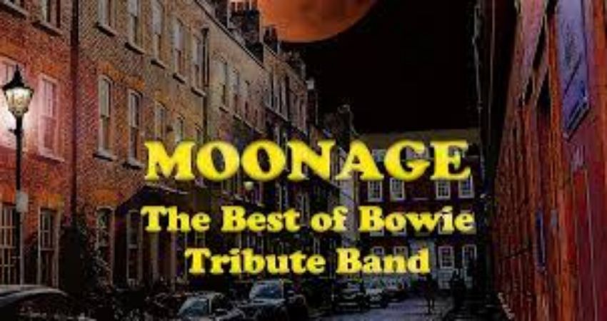 Moonage - The Best of Bowie