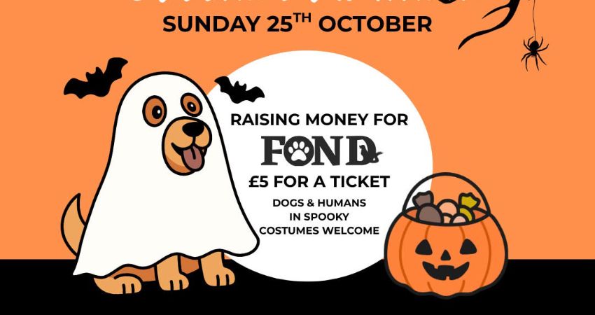 barc at banc : HALLOWEEN EDITION 