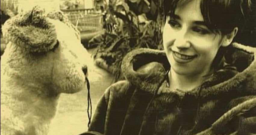 Belle & Sebastian Special at How Does It Feel To Be Loved? 