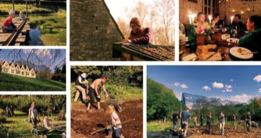 Autumn Open Afternoon 