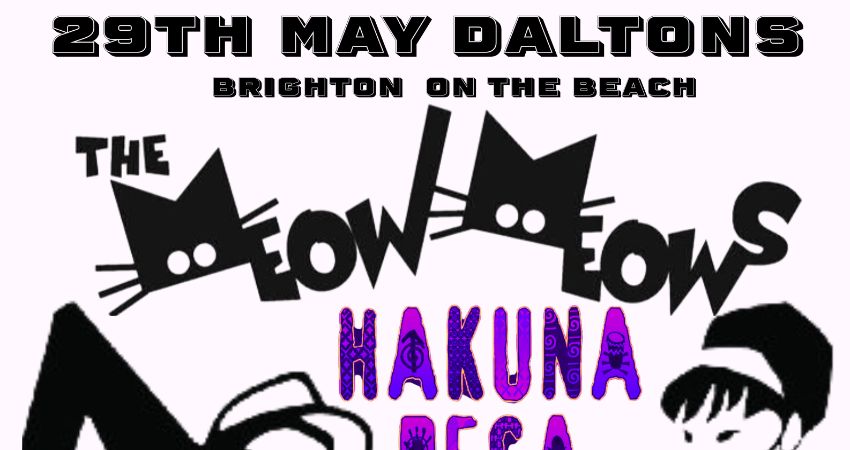 Meow Meows, Hakuna Pesa + Family of Strangers 
