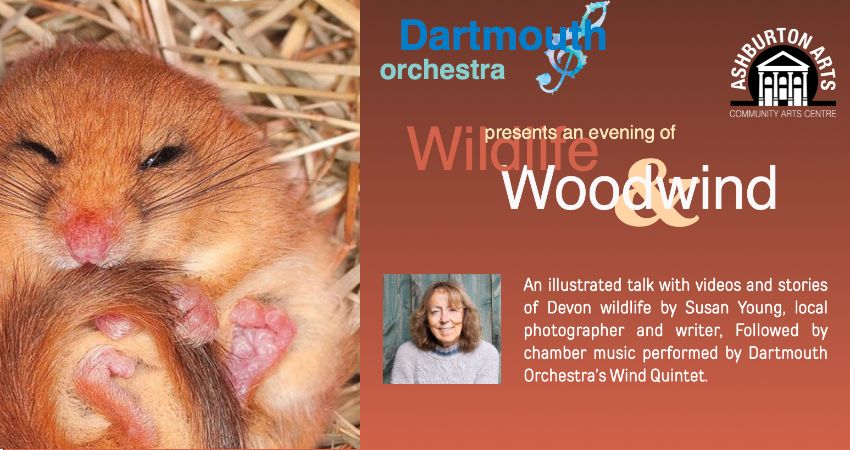 Wildlife and Woodwind: a fundraiser for Dartmouth Orchestra