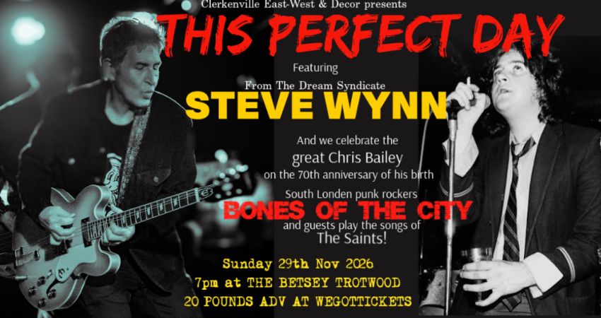 Steve Wynn + Bones of the City