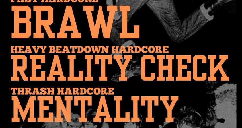 Brawl & Reality Check!